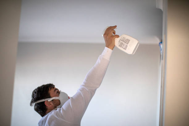 Best Residential Mold Remediation in New Mford, IL