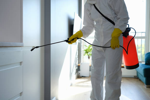 New Milford, IL Mold Remediation Company