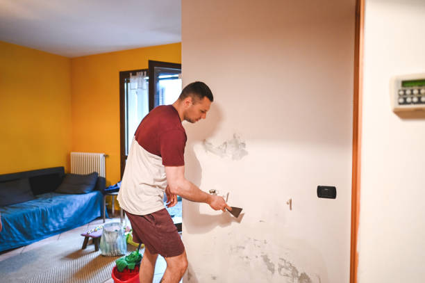 Best Emergency Mold Remediation in New Mford, IL